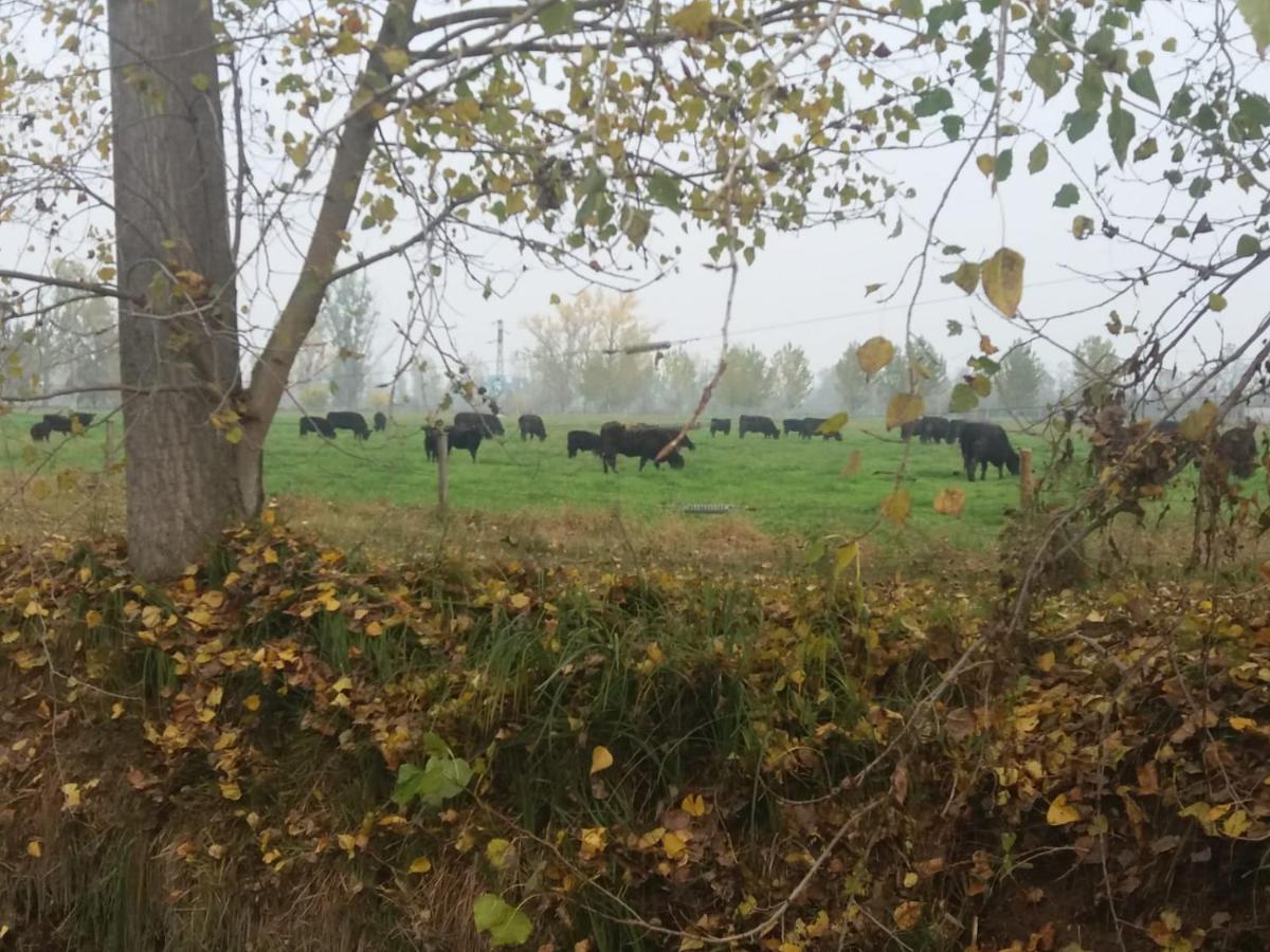 Agriturismo Cascina Pezzolo Лоді Екстер'єр фото