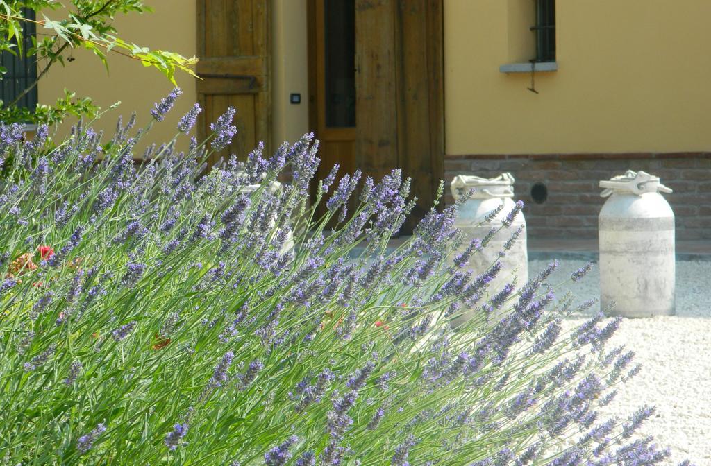 Agriturismo Cascina Pezzolo Лоді Екстер'єр фото